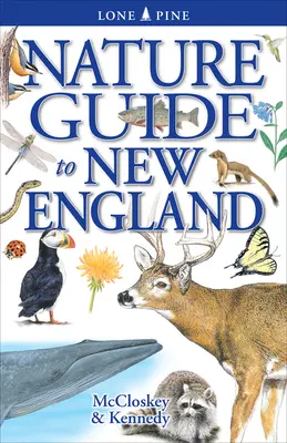 Sprievodca prírodou Nového Anglicka - Nature Guide to New England