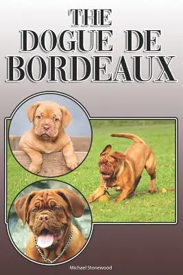 Dogue de Bordeaux: A Complete and Comprehensive Owners Guide To: Kúpa, vlastníctvo, zdravie, starostlivosť, výcvik, poslušnosť, porozumenie a - The Dogue de Bordeaux: A Complete and Comprehensive Owners Guide To: Buying, Owning, Health, Grooming, Training, Obedience, Understanding and