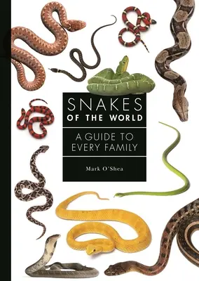 Hady sveta: Sprievodca pre každú rodinu - Snakes of the World: A Guide to Every Family