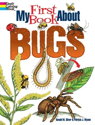 Moja prvá kniha o chrobákoch - My First Book about Bugs