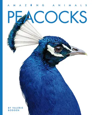 Pávy - Peacocks