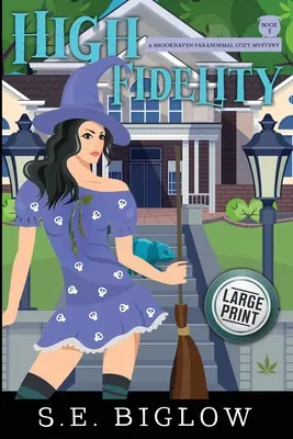 Vysoká vernosť: Nadprirodzená malomestská záhada - High Fidelity: A Supernatural Small Town Mystery