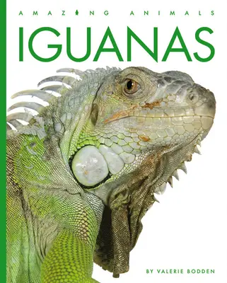 Leguány - Iguanas