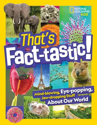 To je fakt fantastické!: To je fakt: ohromujúce, úchvatné a dych vyrážajúce veci o našom svete. - That's Fact-Tastic!: Mind-Blowing, Eye-Popping, Jaw-Dropping Stuff about Our World