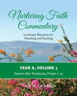 Nurturing Faith Commentary, Year A, Volume 3: Lectionary Resources for Preaching and Teaching-Season after Pentecost: Vydanie ročenky: 1-14. riadok - Nurturing Faith Commentary, Year A, Volume 3: Lectionary Resources for Preaching and Teaching-Season after Pentecost: Proper 1-14