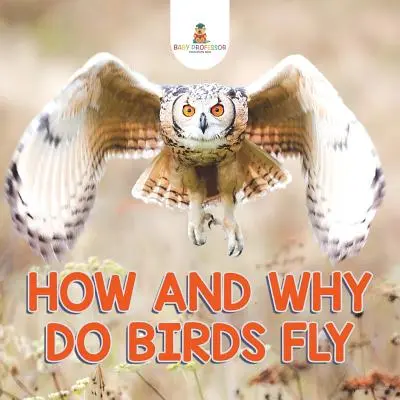 Ako a prečo lietajú vtáky - How and Why Do Birds Fly