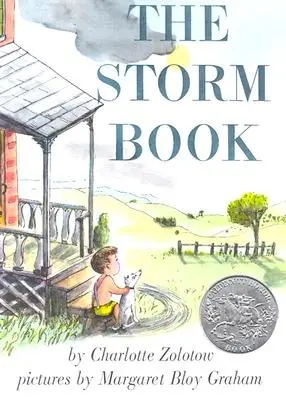 Kniha o búrke - The Storm Book