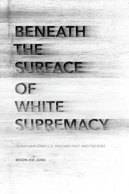 Pod povrchom bielej nadradenosti: Pod povrchom bielej rasy: Denaturalizácia rasizmu v USA v minulosti a súčasnosti - Beneath the Surface of White Supremacy: Denaturalizing U.S. Racisms Past and Present