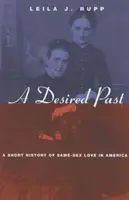Vytúžená minulosť: Krátke dejiny lásky medzi rovnakým pohlavím v Amerike - A Desired Past: A Short History of Same-Sex Love in America