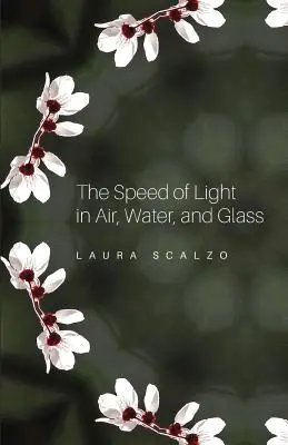 Rýchlosť svetla vo vzduchu, vode a skle - The Speed of Light in Air, Water, and Glass