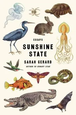 Slnečný štát: Eseje - Sunshine State: Essays