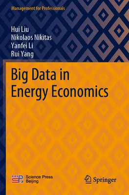 Veľké objemy údajov v ekonomike energetiky - Big Data in Energy Economics