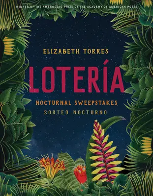 Lotera: Nočná lotéria - Lotera: Nocturnal Sweepstakes