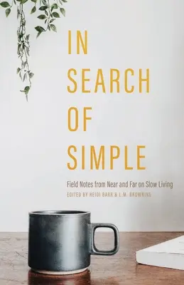 Pri hľadaní jednoduchosti - In Search of Simple