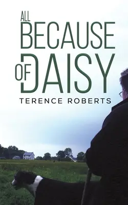 Všetko kvôli Daisy - All Because of Daisy