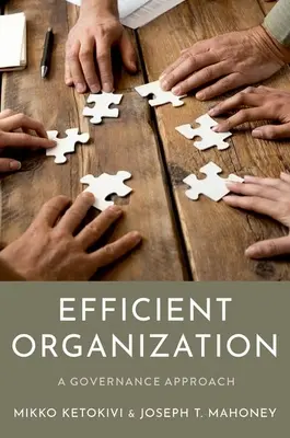 Efektívna organizácia: Prístup k riadeniu - Efficient Organization: A Governance Approach
