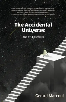 Náhodný vesmír a iné príbehy - The Accidental Universe and Other Stories