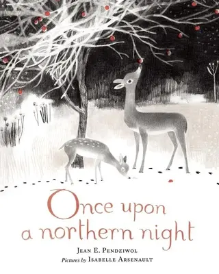 Raz za severnej noci - Once Upon a Northern Night