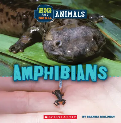 Obojživelníky (Divoký svet: Veľké a malé zvieratá) - Amphibians (Wild World: Big and Small Animals)