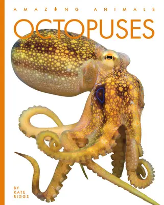 Chobotnice - Octopuses