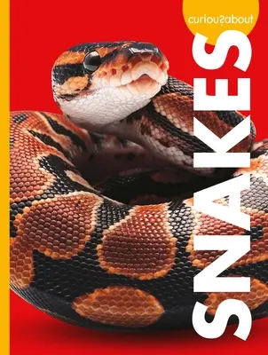 Zvedaví na hady - Curious about Snakes