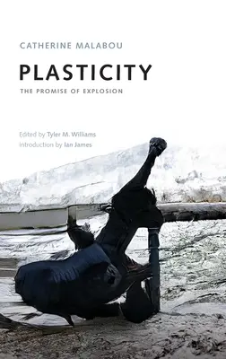 Plasticita: Prísľub explózie - Plasticity: The Promise of Explosion