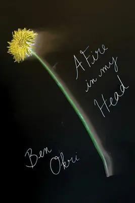 Oheň v mojej hlave: Básne pre úsvit - A Fire in My Head: Poems for the Dawn