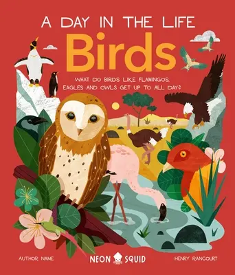 Vtáky (deň v živote): Čo robia plameniaky, sovy a tučniaky celý deň? - Birds (a Day in the Life): What Do Flamingos, Owls, and Penguins Get Up to All Day?