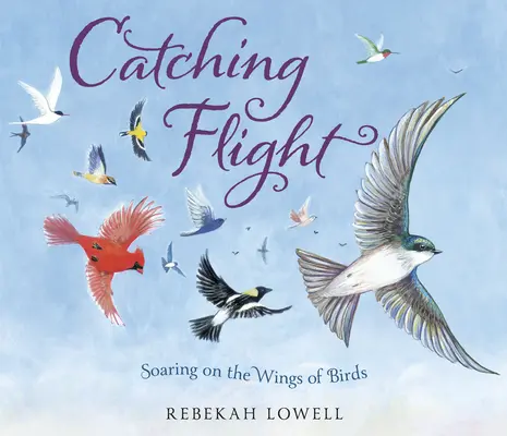 Chytanie letu: Vznášanie sa na krídlach vtákov - Catching Flight: Soaring on the Wings of Birds