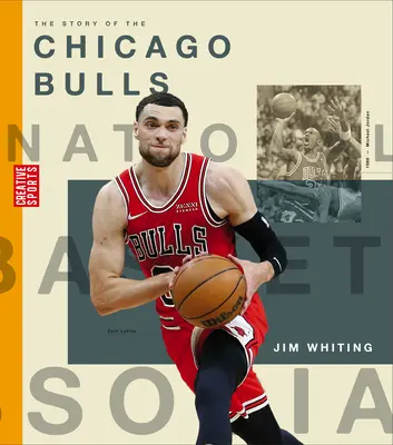 Príbeh tímu Chicago Bulls - The Story of the Chicago Bulls