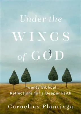 Pod krídlami Boha: Dvadsať biblických úvah pre hlbšiu vieru - Under the Wings of God: Twenty Biblical Reflections for a Deeper Faith