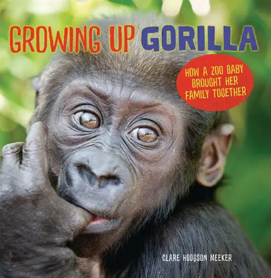 Ako vyrastala gorila: Ako mláďa zo zoologickej záhrady spojilo svoju rodinu - Growing Up Gorilla: How a Zoo Baby Brought Her Family Together