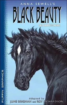 Puffin Graphics: Čierna krása - Puffin Graphics: Black Beauty