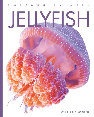 Medúzy - Jellyfish