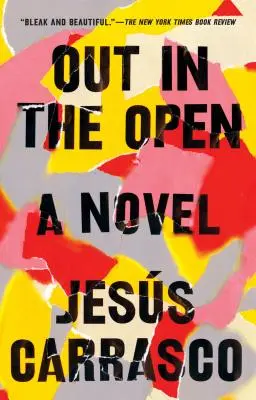 Na otvorenom priestranstve - Out in the Open