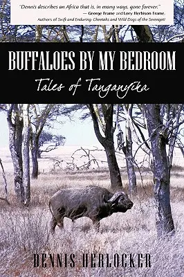 Bizóny pri mojej spálni - Buffaloes by My Bedroom