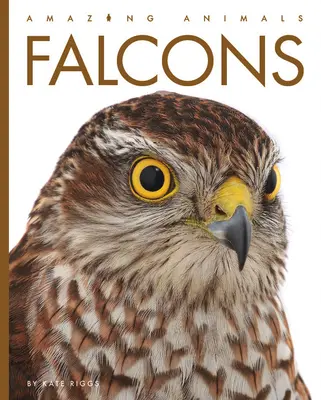 Sokoli - Falcons