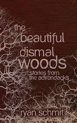 Krásne pusté lesy: Krátke poviedky z Adirondacku: Dedinské lesy (The Woods): Krátke poviedky z Adirondacku - The Beautiful Dismal Woods: Short Stories from the Adirondacks