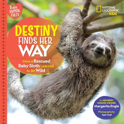 Osud si našiel svoju cestu: Ako sa zachránené mláďa leňochoda naučilo byť divoké - Destiny Finds Her Way: How a Rescued Baby Sloth Learned to Be Wild