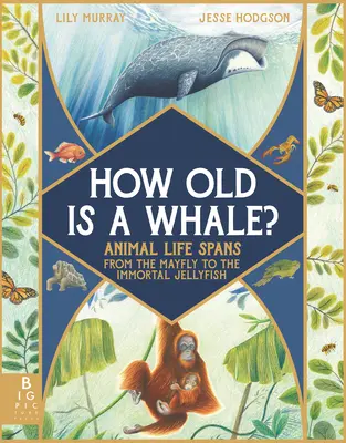 Koľko rokov má veľryba? Životné obdobie živočíchov od májky po nesmrteľnú medúzu - How Old Is a Whale?: Animal Life Spans from the Mayfly to the Immortal Jellyfish