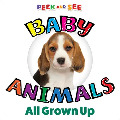 Nakukni a pozri sa na mláďatá zvieratiek, ktoré vyrástli - Peek and See Baby Animals All Grown Up