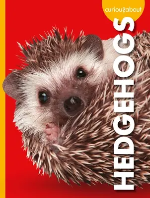 Zvedavosť na ježkov - Curious about Hedgehogs