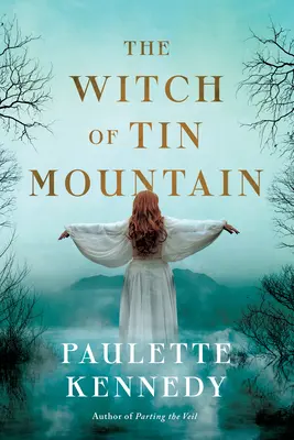 Čarodejnica z cínovej hory - The Witch of Tin Mountain