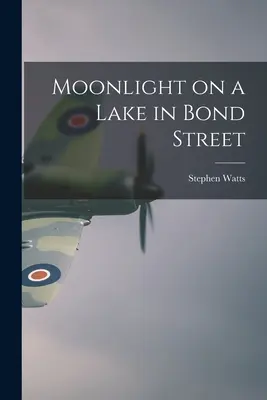 Mesačné svetlo na jazere na Bond Street - Moonlight on a Lake in Bond Street