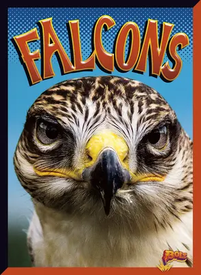 Sokoli - Falcons