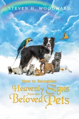 Ako rozpoznať nebeské znamenia od našich milovaných domácich zvierat - How to Recognize Heavenly Signs from Our Beloved Pets