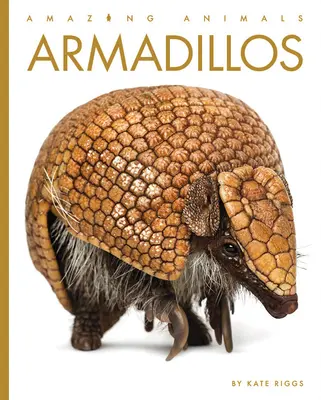 Pásovce - Armadillos
