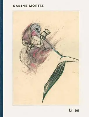 Sabine Moritz Líbeda - Sabine Moritz Lilies