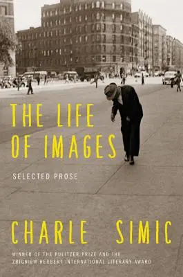 Život obrazov - The Life of Images