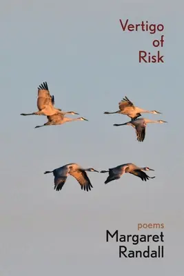 Závraty z rizika - Vertigo of Risk